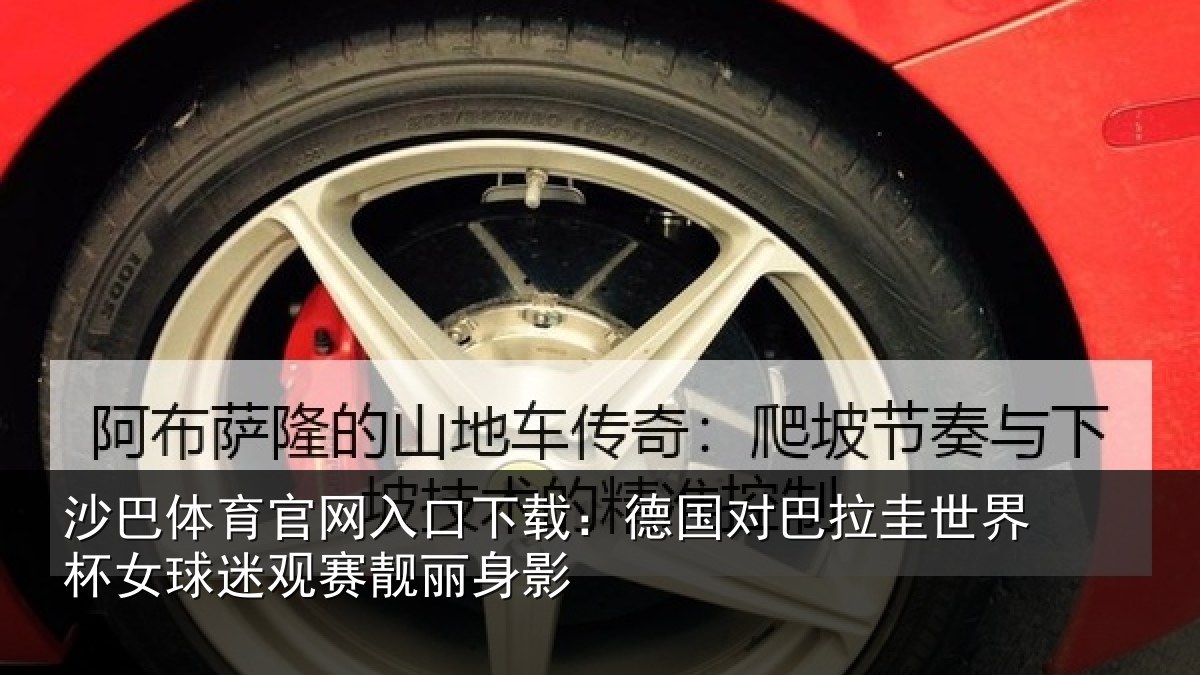 沙巴体育官网入口下载：德国对巴拉圭世界杯女球迷观赛靓丽身影
