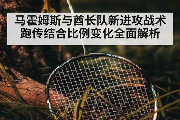 马霍姆斯与酋长队新进攻战术跑传结合比例变化全面解析