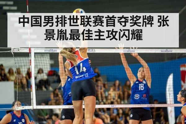 volleyball match action